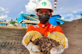 PLN IP produksi energi bersih biomassa 1.101,59 GWh