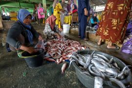 Harga ikan laut naik di Pantura