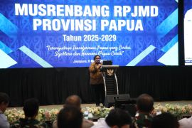 Wamendagri tekankan sinkronisasi RPJMD Papua dengan nasional