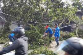 Angin puting beliung di Cimahi terjang ratusan rumah hingga rusak
