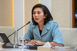 Ketua D-8, RI terus dorong deeskalasi di Timteng cegah konflik meluas