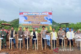 Polri dan Pemuda Katolik tanam jagung pada 80 hektare lahan di Cianjur