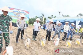 Kapolda canangkan Tanah Laut sentra jagung dengan potensi lahan se-Kalsel 10 ribu hektare
