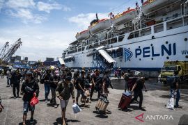 Pemerintah beri diskon tiket mudik hingga 30 persen, pesawat 17 persen