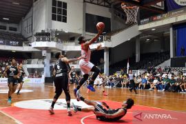 IBL 2026 - Rajawali Medan mati kutu lawan Pelita Jaya