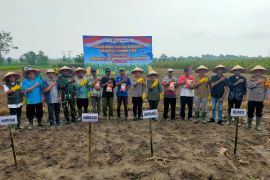 Polres Lampung Timur tanam jagung untuk mendukung ketahanan pangan