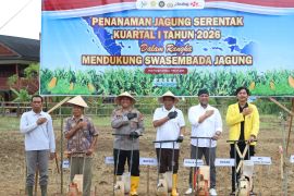 Pemkab-Polres HSS tanam jagung serentak dukung ketahanan pangan