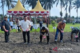 Tanam jagung, Ketua Fraksi Partai Demokrat DPRD Palas apresiasi program Ketapang Polres Padang Lawas