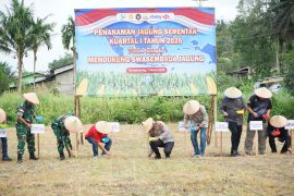 Polres Bengkayang tanam jagung 11,95 ha dukung ketahanan pangan