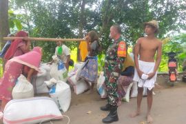 Babinsa kawal penyerapan gabah petani oleh Bulog di Lombok Tengah
