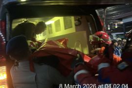 Pohon tumbang tewaskan pengendara motor di Jakarta Selatan