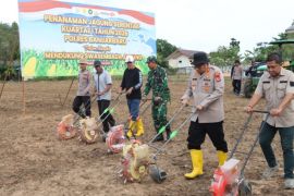 Polres Banjarbaru ubah lahan tidur jadi kebun jagung dukung KPN