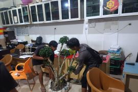 Satreskrim Polresta Pangkalpinang tangkap pencuri bonsai, kerugian korban Rp40 juta