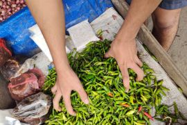 Lampung imbau masyarakat tidak "panic buying" untuk kestabilan harga