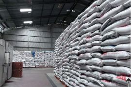 Bulog Kaltimtara jamin stok pangan aman hingga Lebaran 2026