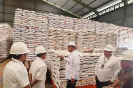 Bulog Aceh pastikan stok beras dan minyak makan aman