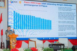 Kepala LAN: Rasio ASN di Papua lebih tinggi dari nasional