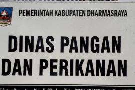Harga kebutuhan pokok stabil di Dharmasraya jelang idul Fitri
