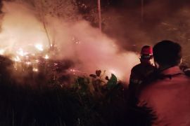 Pemkab Natuna padamkan kebakaran lahan 3 hektare