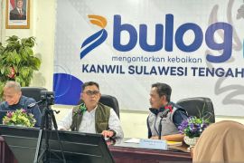 Wakil Direktur Perum Bulog tinjau keandalan stok beras di Sulteng