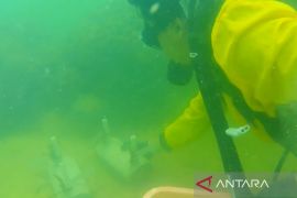 ULM laksanakan Program Bina Desa Berdampak transplantasi terumbu karang