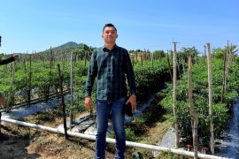 Mengendalikan Inflasi dari Meja Makan