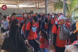 Pelni Batam layani program mudik lebaran gratis dari tiga instansi