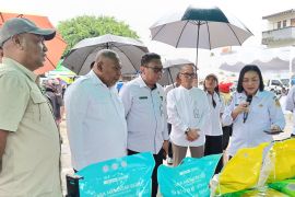 Pemprov Papua jaga ketahanan pangan melalui gerakan pangan murah