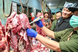 Dispertan Banyuwangi cek kualitas daging sapi pastikan layak konsumsi