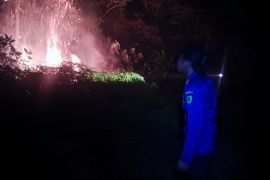 Disdamkarmat Natuna berhasil padamkan karhutla seluas 5 hektare