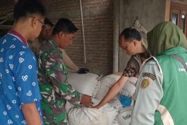 Bulog Banyumas optimalkan serapan gabah untuk memperkuat stok beras