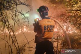 Petugas berupaya padamkan kebakaran lahan di Aceh dan Kalimantan Utara