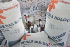 Bapanas proyeksikan ketersediaan beras nasional 47 juta ton