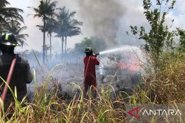 BNPB: Kebakaran Lahan di Bintan Meluas Hingga Menghanguskan 25 Hektare