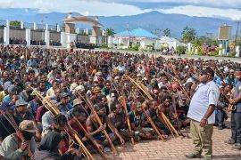 Menilik peran lembaga adat selesaikan konflik Papua