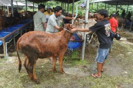 Kompensasi kerohiman Bandara KASA