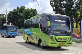 Lampung sediakan mudik gratis dalam daerah menggunakan bus