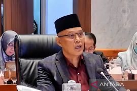 Komisi I DPR: PP Tunas beri perlindungan anak di ruang digital