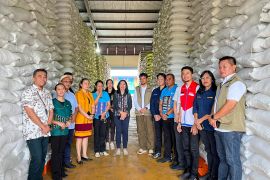 Bulog NTT memastikan stok beras 23 ribu ton aman hingga enam bulan ke depan