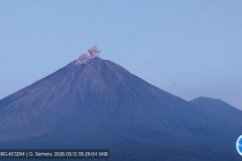 Gunung Semeru alami erupsi dengan tinggi letusan capai 600 meter di atas puncak