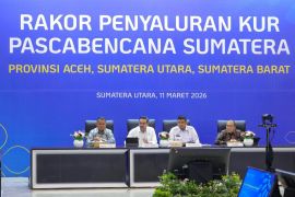 Outstanding KUR terdampak bencana Sumatera capai Rp11,23 triliun