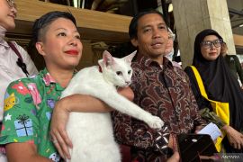 Menhut sebut belum ada pengajuan kawasan hutan untuk huntara dan huntap