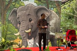 Indonesia pledges habitat restoration to protect Sumatran elephants