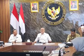 Pemerintah percepat pengembangan bioenergi dari singkong hingga sawit
