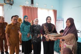 PKK Tapin salurkan bantuan gizi anak di 135 desa prioritas stunting