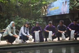 Pemkot Kediri sebar 13.100 benih ikan endemik asli Jawa Timur