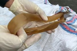 Karantina NTB tolak 3,5 ton kulit sapi tanpa dokumen di Pelabuhan Lembar