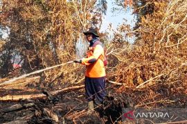 BPBD Aceh Barat kerahkan personel padamkan karhutla di dua desa