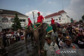 Yogyakarta Palace ends elephant role in Grebeg Syawal procession