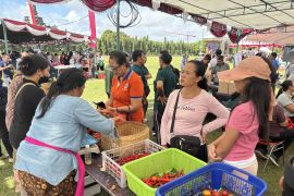 Distan minta warga Bali manfaatkan pasar rakyat saat lonjakan cabai